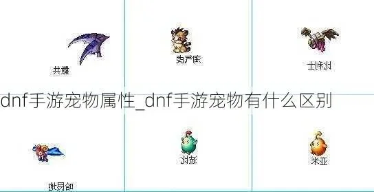 dnf手游宠物带哪个-DNF手游宠物选择指南