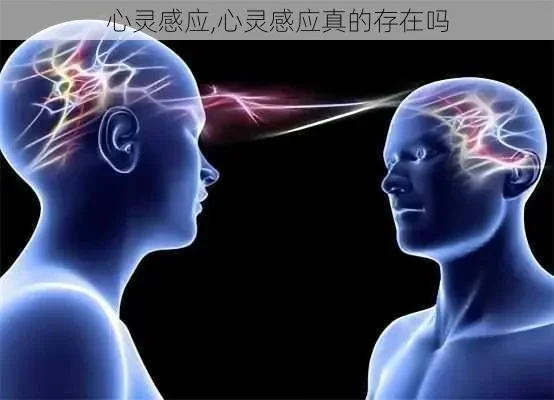 心灵感应特性有什么用-心灵感应助旅行
