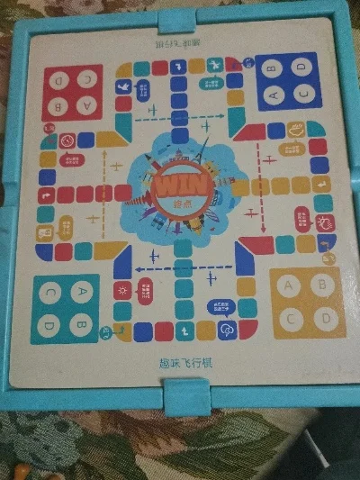 飞行棋的玩法步骤图-飞行棋图解玩法步骤